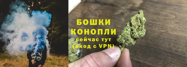 PSILOCYBIN Абаза