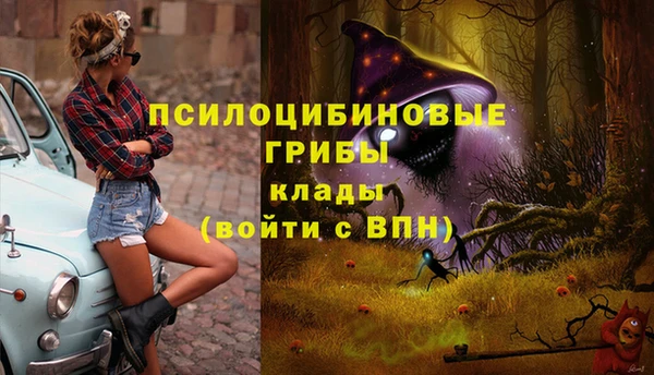 мдпв Абдулино