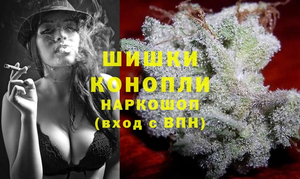PSILOCYBIN Абаза
