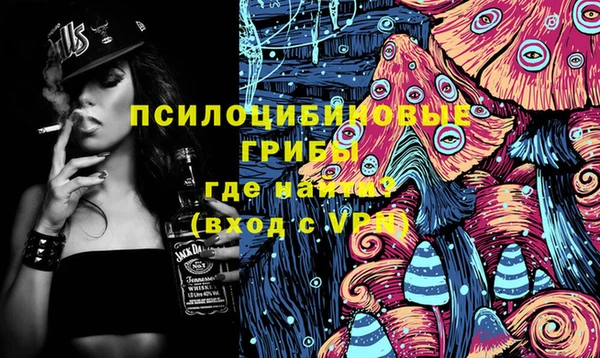 твердый Ростов